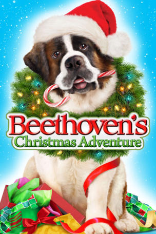 Beethovens abenteuerliche Weihnachten