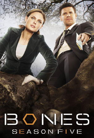 Nachts im Bones-Museum