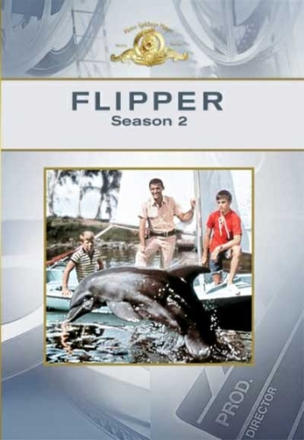Flipper_0002