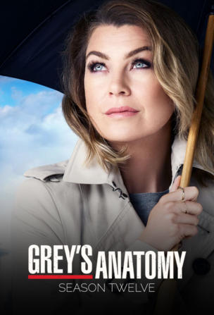 Grey's Anatomy: Die jungen Ärzte_0012