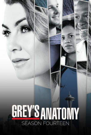 Grey's Anatomy: Die jungen Ärzte_0014