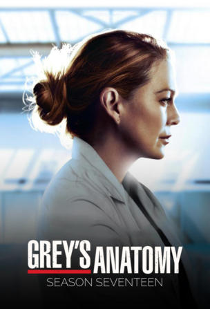 Grey's Anatomy: Die jungen Ärzte_0017
