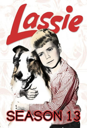Lassie_0013