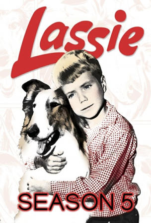 Lassie_0005