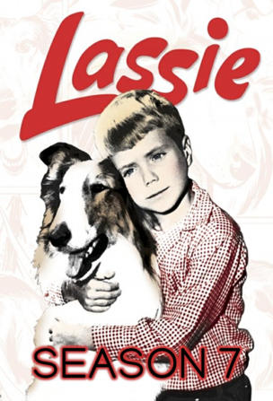 Lassie_0007