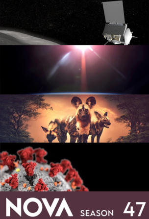 Nova_0047