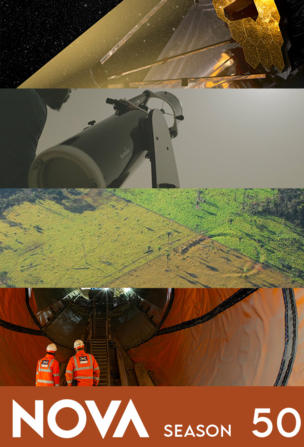 Your Brain: Perception Deception (1)