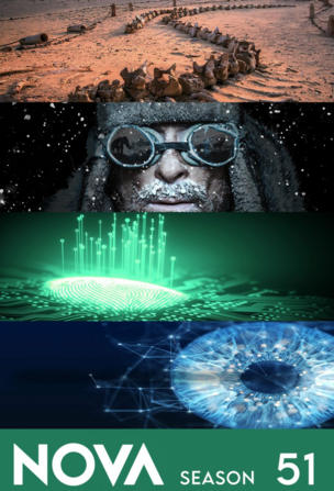 Easter Island Origins