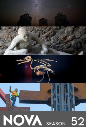 Ultimate Crash Test: Countdown