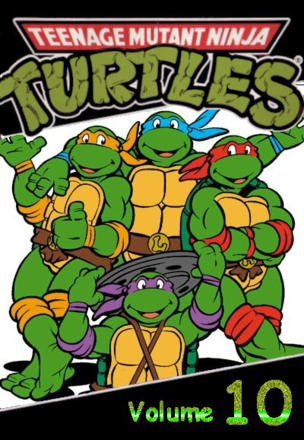 Teenage Mutant Hero Turtles_0010