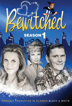 It Shouldn't Happen to a Dog