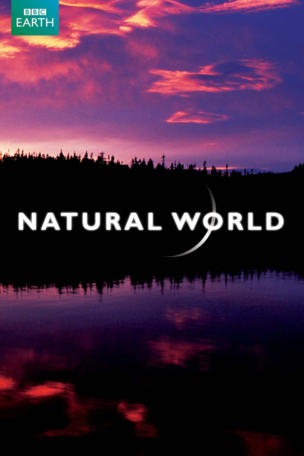 Natural World_0038
