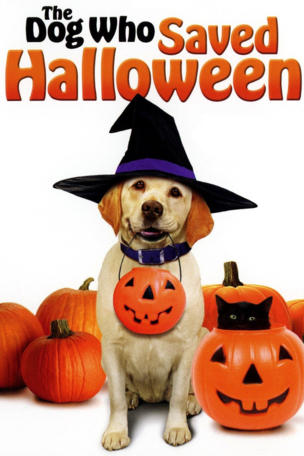 Ein Hund rettet Halloween