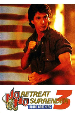 Karate Tiger 3 - Blutsbrüder